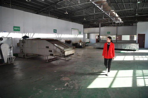 一片茶葉，萬千氣象——新華社關注平利以茶飲產(chǎn)業(yè)引領鄉(xiāng)村振興新實踐