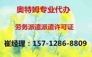 全面解析代理延慶縣網(wǎng)絡文化經(jīng)營許可證的辦理要點與流程